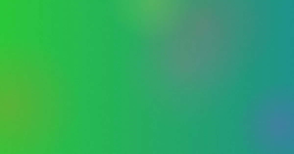 伊人网大对比：一次选片复盘